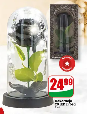 Dekoracja 20 LED z różą promocja w Dino