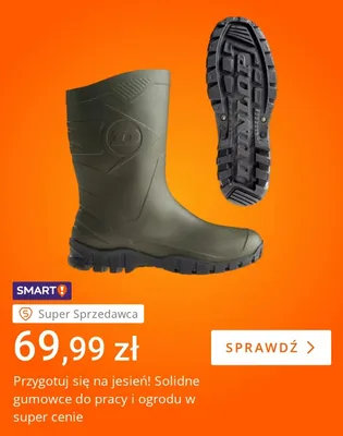 Gumowce do pracy i ogrodu Dunlop promocja w Allegro