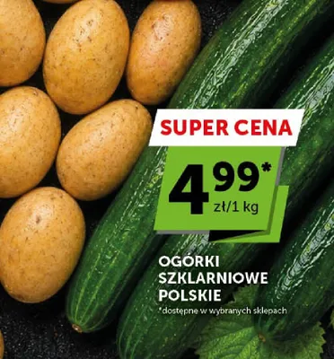 Ziemniaki wczesne promocja w ABC