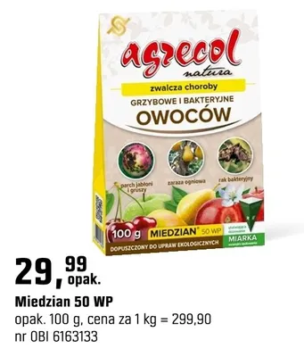 Miedzian 50 WP zwalcza choroby grzybowe i bakteryjne owoców promocja w OBI
