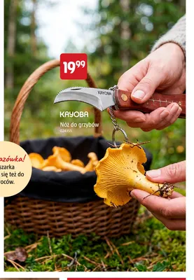 Nóż do grzybów Kayoba promocja w Jula
