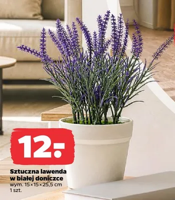 Sztuczna lawenda w białej doniczce promocja w Netto