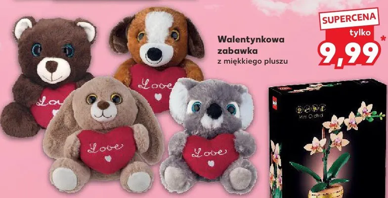 Mała orchidea promocja w Kaufland