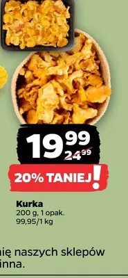 Kurka promocja w Netto
