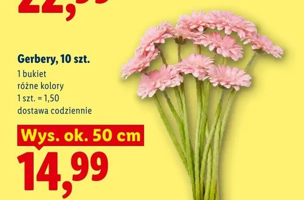 Gerbery 10-pak promocja w Lidl