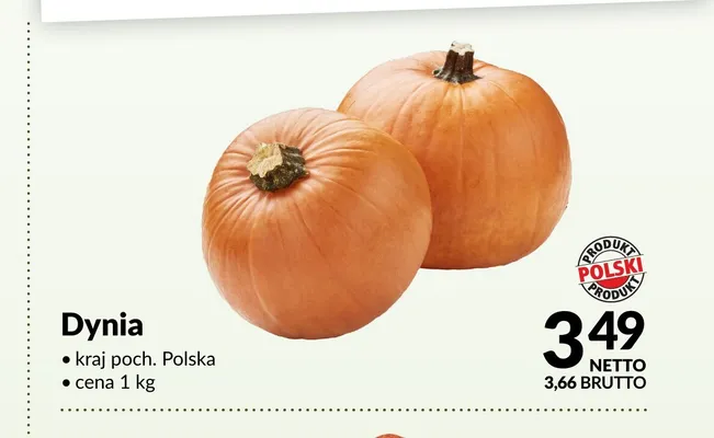 Dynia promocja w Makro