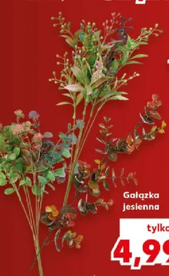 Gałązka jesienna promocja w Kaufland