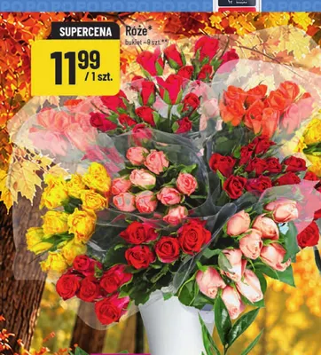 Róże bukiet 9-pak promocja w POLOmarket
