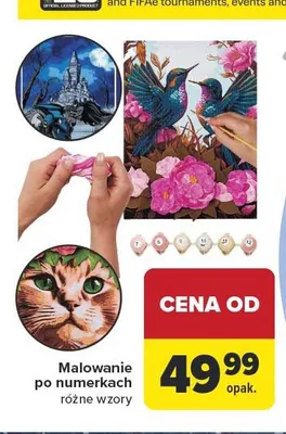 Malowanie po numerkach promocja w Carrefour