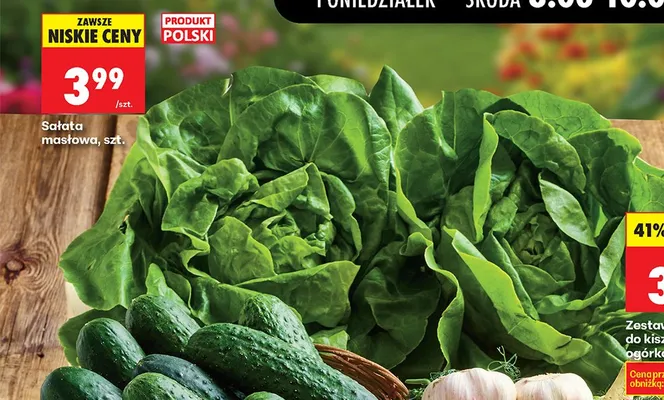 Sałata masłowa polska promocja w Biedronka