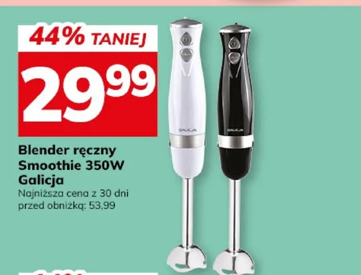 Blender ręczny Smoothie 350W Galicja promocja w Hitpol
