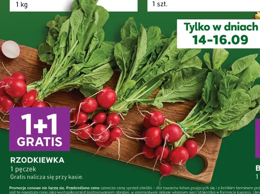 Rzodkiewka promocja w Stokrotka
