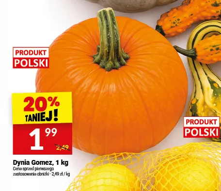 Dynia Gomez promocja w Twój Market