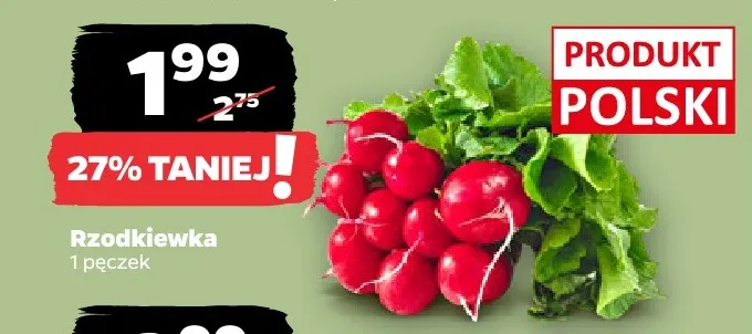 Rzodkiewki polskie promocja w Netto