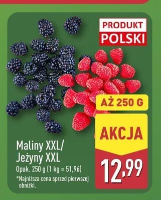 Jeżyny XXL promocja w Aldi