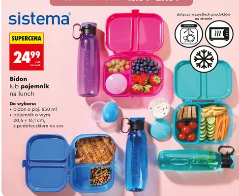 Bidon lub pojemnik na lunch promocja w Biedronka