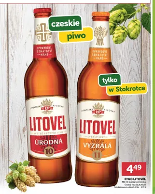 Piwo Litovel Úrodná promocja w Stokrotka