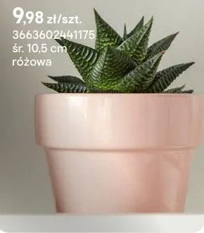 Donica ceramiczna ozdobna Verve różowa promocja w Castorama