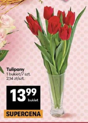 Tulipany promocja w Delikatesy Centrum