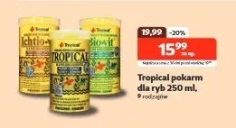 Pokarm dla ryb promocja w KAKADU