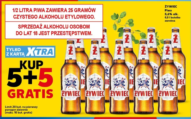Piwo Żywiec 5,6% alk. promocja w Kaufland