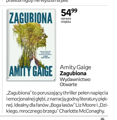 Książka Zagubiona Amity Gaige promocja w Empik