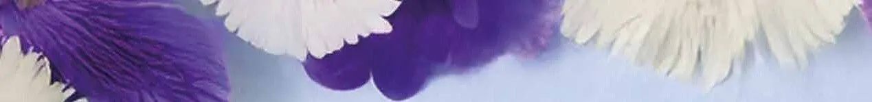 Przygotuj się na Święta z Arhelanem!, strona 9 promocja w Arhelan