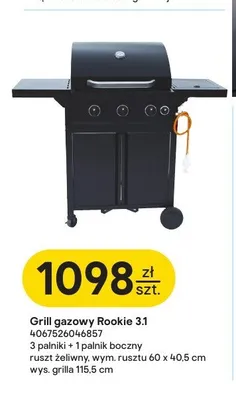 Grill gazowy Rookie 3,1 Landmann promocja w Castorama