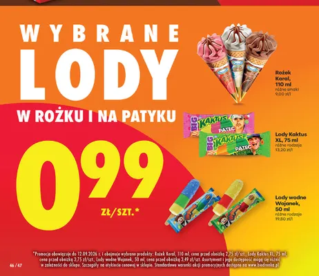 Lody wodne Wojanek promocja w Biedronka