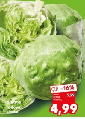 Sałata lodowa promocja w Kaufland