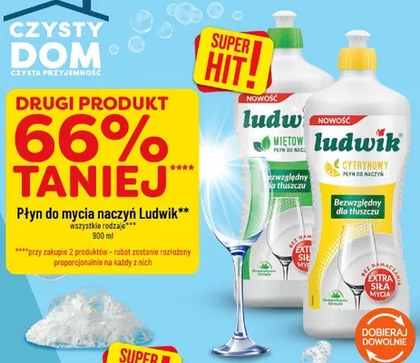 Płyn do mycia naczyń Ludwik miętowy promocja w POLOmarket