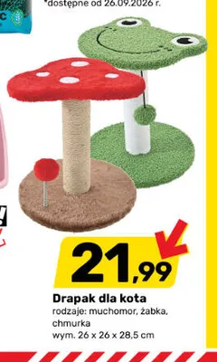 Drapak dla kota żabka promocja w Bricomarche
