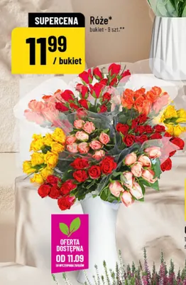Róże bukiet 9 szt. promocja w POLOmarket
