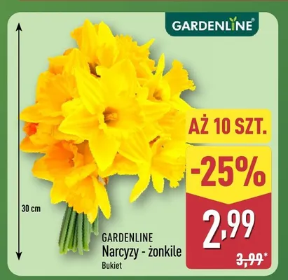 Narcyz - żonkile bukiet promocja w Aldi