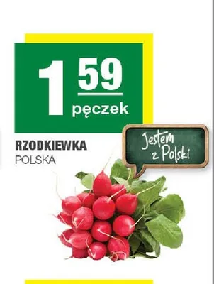 Rzodkiewka polska promocja w SPAR