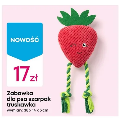 Zabawka dla psa szarpak truskawka 38x14x5cm promocja w Pepco