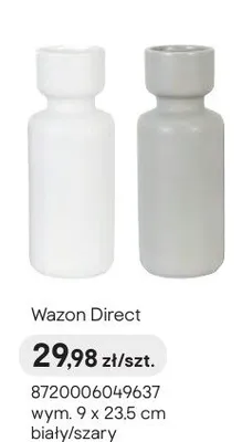 Wazon Direct wym. 9x23,5cm biały promocja w Castorama