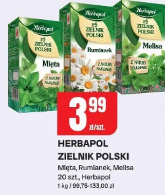 Zielnik polski mięta, rumianek, melisa promocja w Chorten