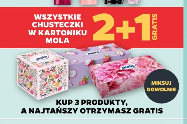 Chusteczki w kartoniku Mola promocja w Netto