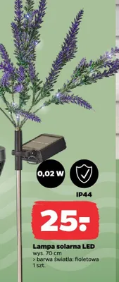 Lampa solarna LED wys. 70cm barwa fioletowa Netto promocja w Netto