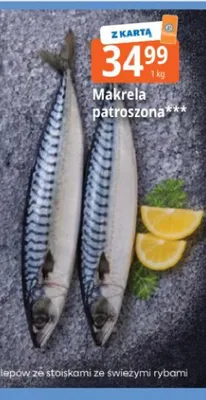Makrela patroszona promocja w Leclerc