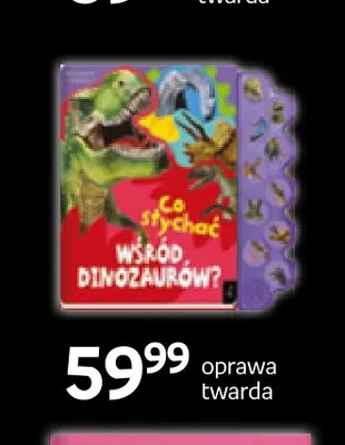 Książka Co słychać wśród dinozaurów? Wilga promocja w Empik
