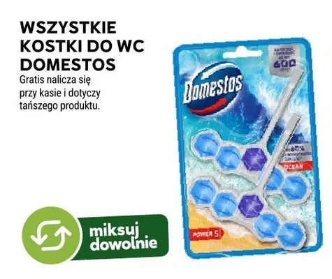 Kostki do WC Domestos promocja w Stokrotka