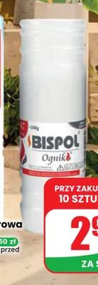 Wkład parafinowy WP4 Bispol promocja w Dino