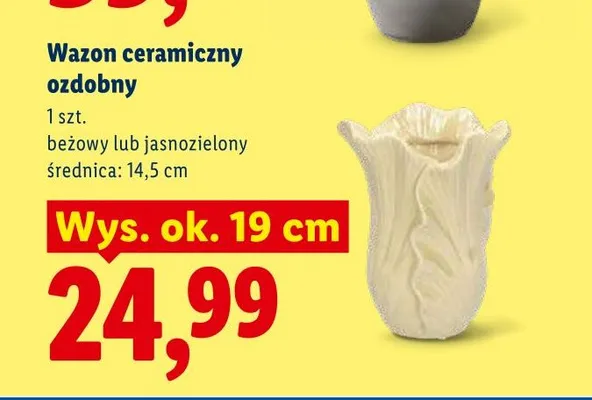 Wazon ceramiczny ozdobny jasnozielony promocja w Lidl