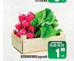 Rzodkiewka pęczek promocja w Tomi Markt