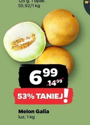 Melon Galia promocja w Netto