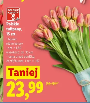 Polskie tulipany wys. ok. 35cm promocja w Lidl