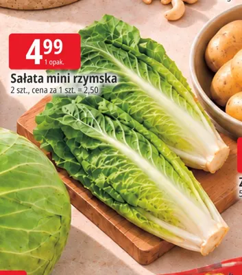Sałata mini rzymska promocja w Leclerc