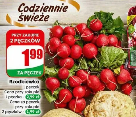 Rzodkiewka pęczek promocja w Dino